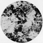 Lenz-1928-6: Detailansicht Bildvorschau