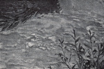 Liebmann-1951-116: Details Image preview