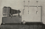 Naumann-1925-219: Details Image preview