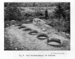 Naumann_1916_Den+sötvattensbiologiska+anstalten_14: Details Image preview