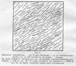 Naumann_1916_Lietzensee+vid+Berlin_10: Details Image preview