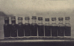 Petersen-1918-9: Details Image preview