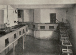 Ruttner-1925-205: Details Image preview