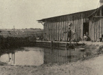 Rylov-1929-438: Detailansicht Bildvorschau