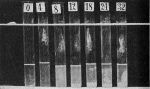 Schanz-1919-2: Details Image preview