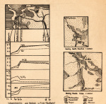 Scheele-1949-5a: Details Image preview