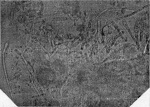 Schwartz-1924-15: Details Image preview