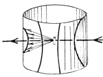 Steinbrinck-1925-1a: Details Image preview