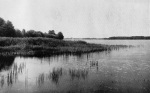 Steinecke-1940-1: Details Image preview