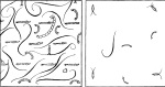 Steinecke-1940-97: Details Image preview