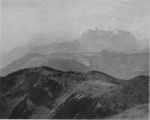 Stenger-1938-53-1: Details Image preview