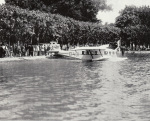 Bildvorschau