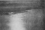Wasmund-1929-11: Details Image preview