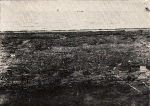 Wasmund-1931-14: Details Image preview