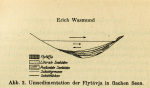 Wasmund-1931-2: Details Image preview