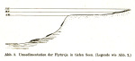 Wasmund-1931-3: Details Image preview