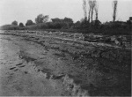 Wasmund-1931-34: Details Image preview