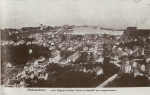 Wepfer-1981-21: Details Image preview