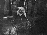 Wundsch-1927-314: Details Image preview
