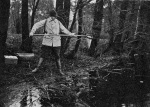 Wundsch-1927-315: Details Image preview