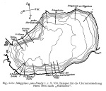 Wundsch-1927-342a: Details Image preview