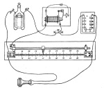 Wundsch-1927-344: Details Image preview