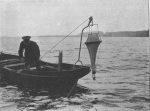 Zacharias-1904-219: Detailansicht Bildvorschau