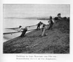 Zacharias-1905-257: Detailansicht Bildvorschau