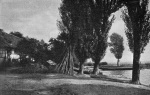 Zimmermann-1926-159: Details Image preview