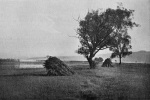 Zimmermann-1926-160-3: Details Image preview