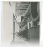 181127_scan+24: Detailansicht Bildvorschau