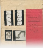 181128_scan+41: Detailansicht Bildvorschau
