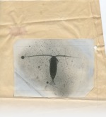 181128_scan+56: Detailansicht Bildvorschau