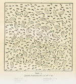 Beling-1929-3: Details Image preview