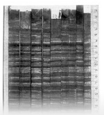 Brehm-1930-90: Details Image preview