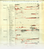 Cori+Steuer-1901-112: Details Image preview