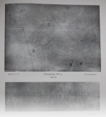 Fischer-1938-75: Details Image preview