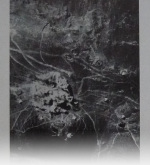 Fischer-1938-85: Details Image preview