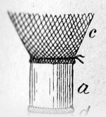 Forel-1901-169: Detailansicht Bildvorschau
