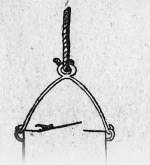 Forel-1901-171: Detailansicht Bildvorschau