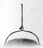 Forel-1901-172: Detailansicht Bildvorschau