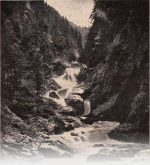 Forsteneichner-1915-27: Details Image preview