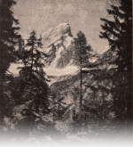 Forsteneichner-1915-35: Detailansicht Bildvorschau