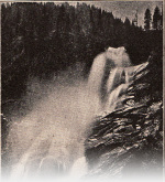Forsteneichner-1915-39: Details Image preview