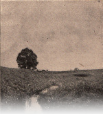 Forsteneichner-1915-7-2: Details Image preview