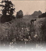 Forsteneichner-1915-9: Details Image preview