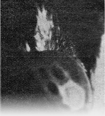 Homann-1924-5: Details Image preview