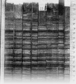 Lenz-1928-95: Details Image preview