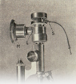 Naumann-1925-224: Detailansicht Bildvorschau