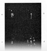 Prochnow-1915-4: Details Image preview